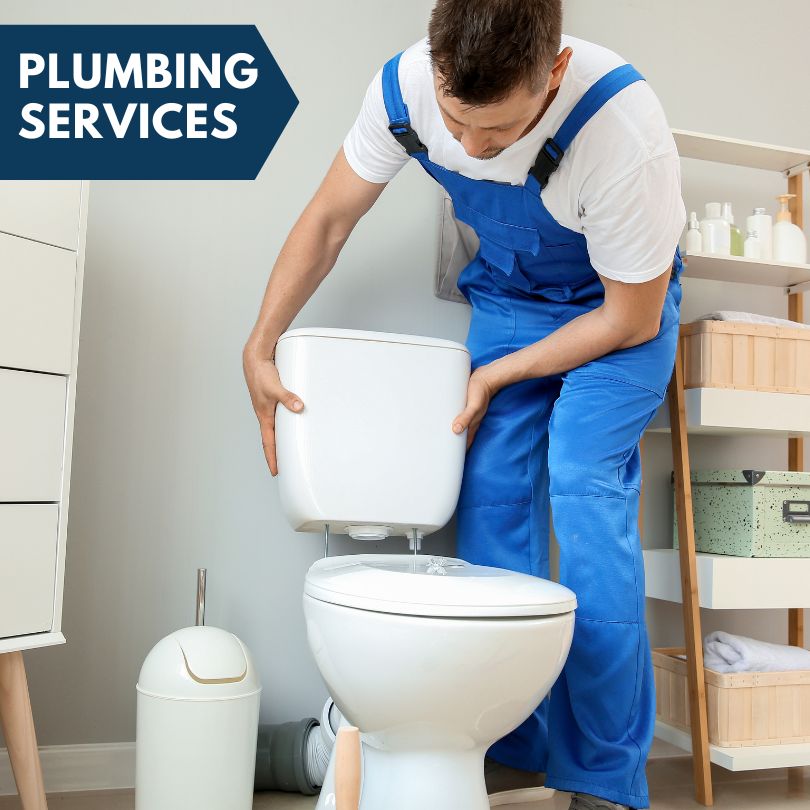 Plumbing Company in Lone Tree, CO